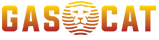 GAS CATALYTIC INFRARED